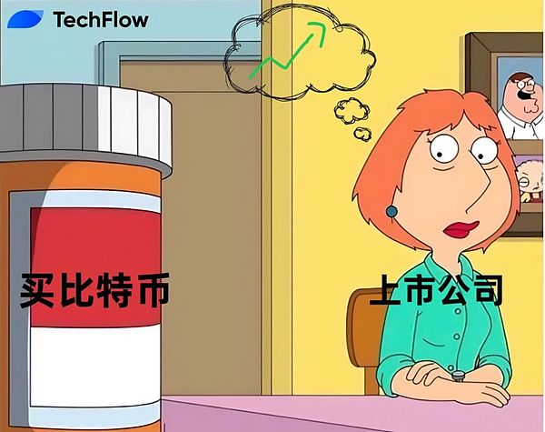 揭开加密货币牛市的真相：技术升级真的那么重要吗？