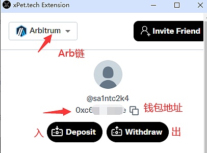 柴犬币(SHIB)能否逆势而上？关键因素全解析
