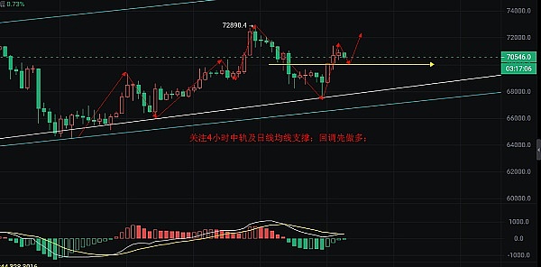 比特币强势回归：山寨币寒冬下，老大哥夺回半壁江山