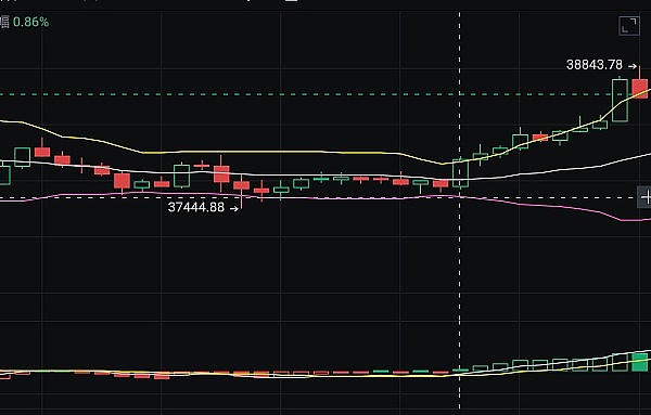 LEO与LINK：新牛市能否再现百倍神话？