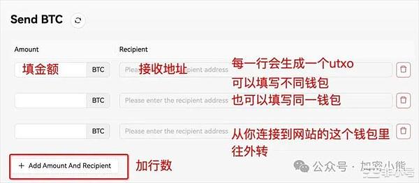 全球加密货币版图：谁在拥抱数字资产？