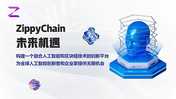 币圈风云：大选年里的投资密码与财富机遇