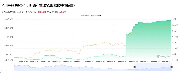 金融界的奥斯卡之夜：经济学家向凌云闪耀美国偶像奖