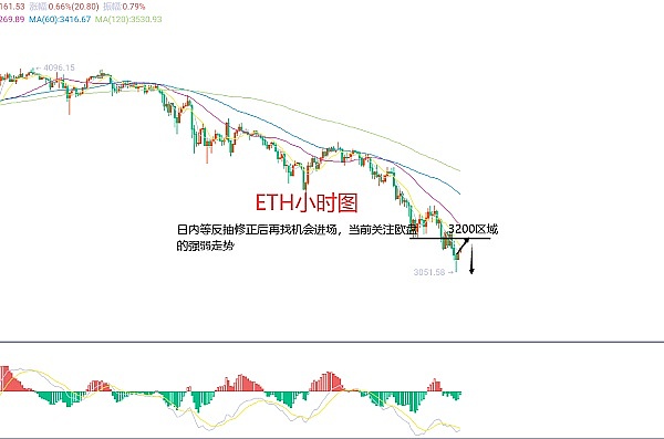 从青蛙币到现象级模因：PEPE的奇幻漂流记