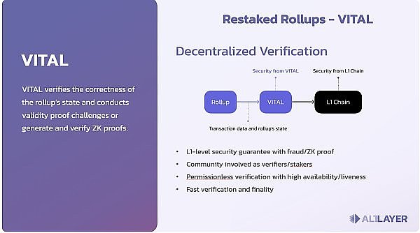 比特币惊魂24小时：假消息引发过山车行情，ETF闹剧背后藏着什么？