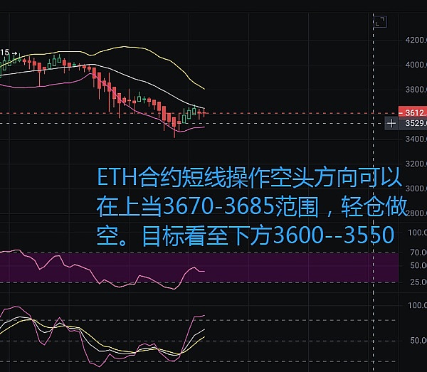 Web3宠物社交赛道迎来重磅玩家：Blockchain Capital豪掷千万押注PetCat