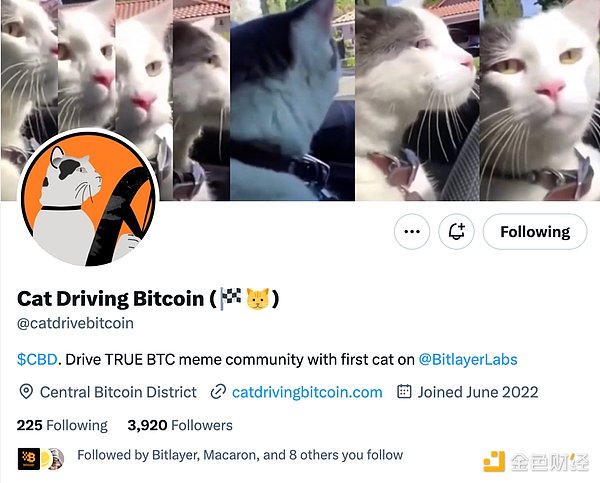 BTG和BTC的区别：一场关于比特币表亲的有趣探讨